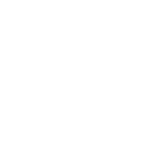 PD Auto